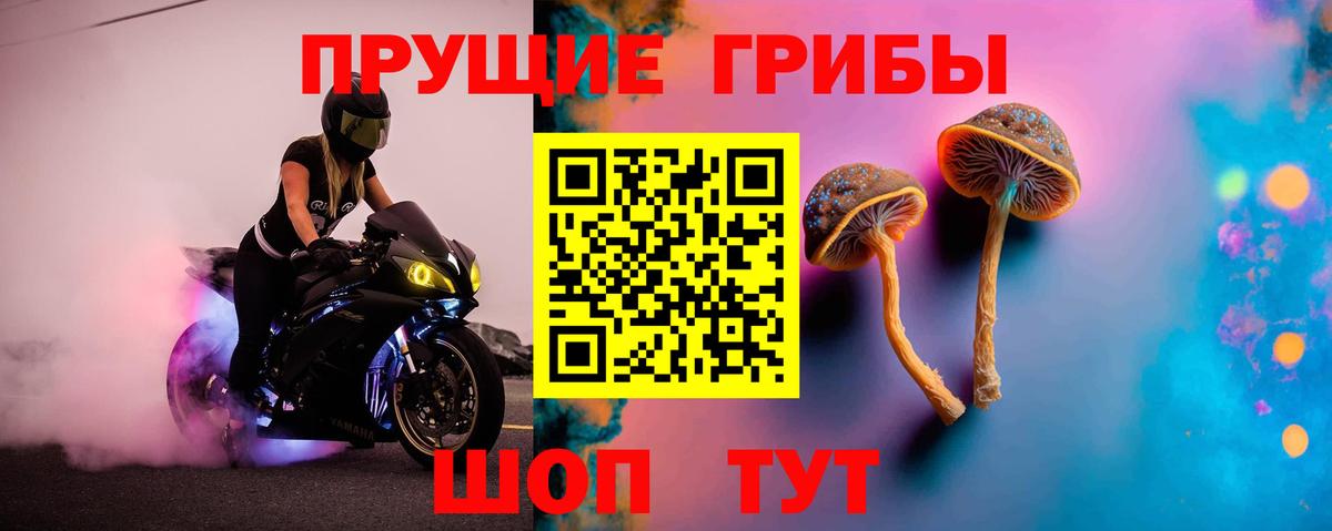 Псилоцибиновые грибы GOLDEN TEACHER Жуковский
