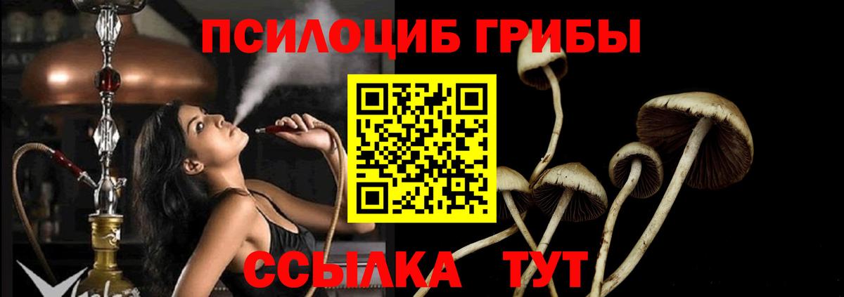 Псилоцибиновые грибы прущие грибы  Вход с VPN  Жуковский 
